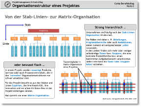 015_Cotta_2022_PMC_Matrixorganisation_SMART.pdf