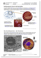 WG_Bio_E_Reader_Genetik_2.pdf